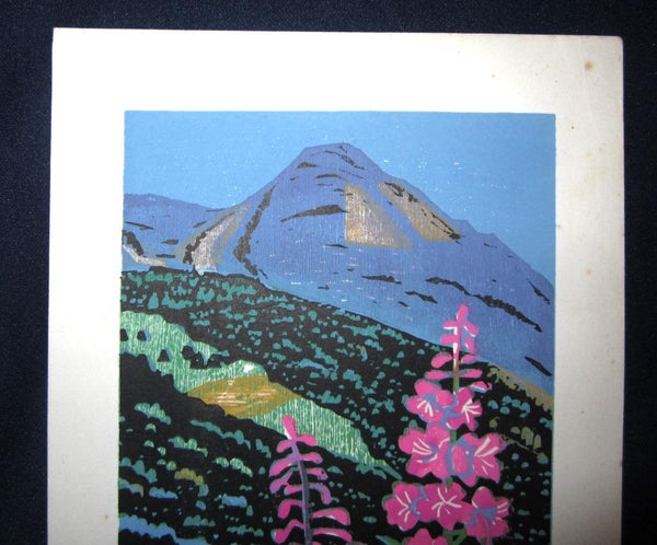 A Great Orig Japanese Woodblock Print Pencil-Signed Limit Number Masaya Watanabe Willow Orchid 1982