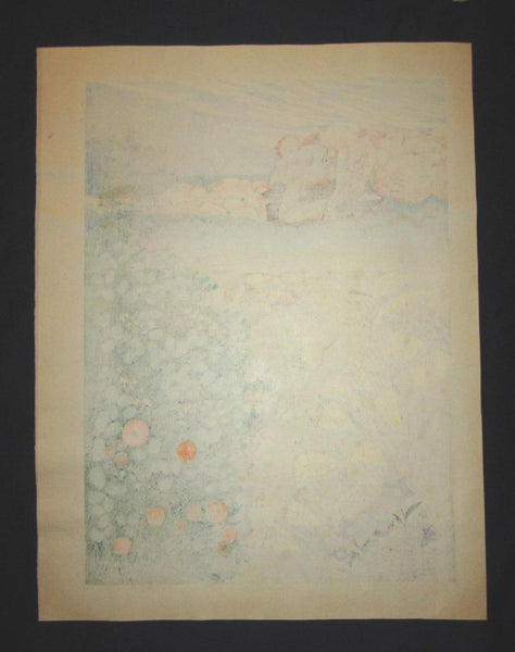 A HUGE Orig Japanese Woodblock Print LIMIT# PENCIL SIGN Hayashi Waichi Reed Trail 1980