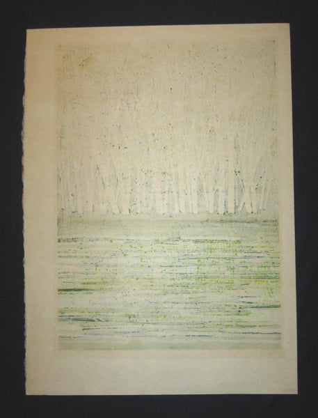 A Great Huge Orig Japanese Woodblock Print Pencil-Signed Limit# Fujita Fumio Green Reflection, 1979 (2)
