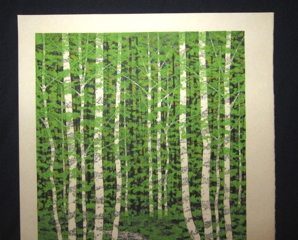 A Huge Orig Japanese Woodblock Print Pencil-Signed Limit# Fujita Fumio Forest Trail A 1992 (2)