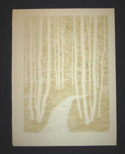 A Huge Orig Japanese Woodblock Print Pencil-Signed Limit# Fujita Fumio Forest Trail A 1992 (2)