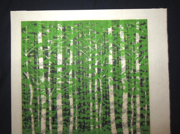 A Huge Orig Japanese Woodblock Print Pencil-Signed Limit# Fujita Fumio Forest Trail A 1992 (3)