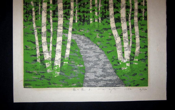 A Huge Orig Japanese Woodblock Print Pencil-Signed Limit# Fujita Fumio Forest Trail A 1992 (3)