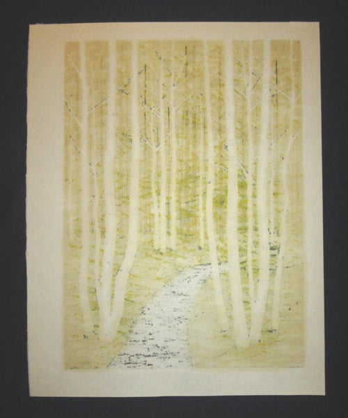 A Huge Orig Japanese Woodblock Print Pencil-Signed Limit# Fujita Fumio Forest Trail A 1992 (3)