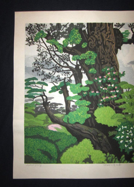 A Huge Orig Japanese Woodblock Print LIMIT NUMBER PENCIL SIGN Kitaoka Fumio Secret Yakushima Island 1995 Two Water Marks