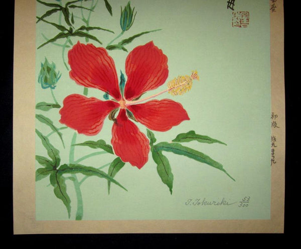 A Great Orig Japanese Woodblock Print Tokuriki Tomikichiro PENCIL Sign & LIMIT NUMBER Original Edition Red Chrysanthemum 1960s