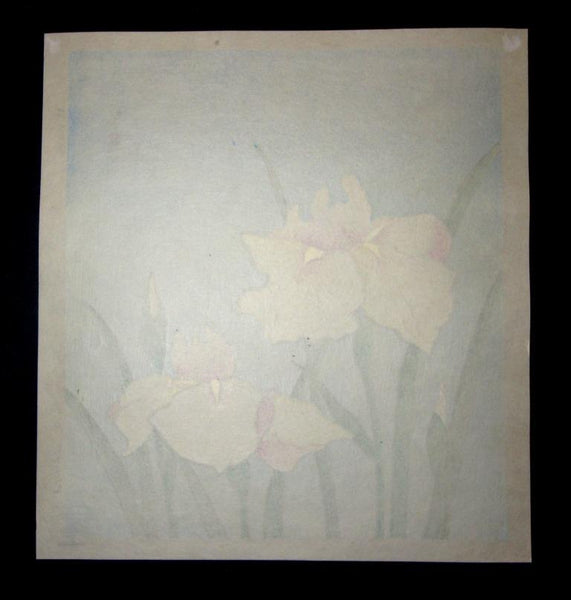 A Great Orig Japanese Woodblock Print Tokuriki Tomikichiro PENCIL Sign & LIMIT NUMBER Original Edition Iris 1960s