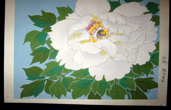 A Great Orig Japanese Woodblock Print Tokuriki Tomikichiro PENCIL Sign & LIMIT NUMBER Original Edition White Peony 1960s