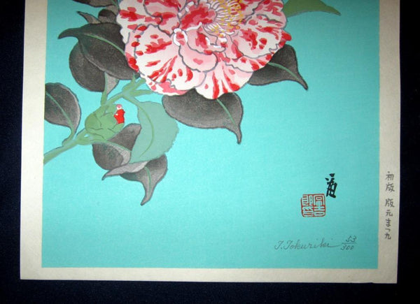 A Great Orig Japanese Woodblock Print Tokuriki Tomikichiro PENCIL Sign & LIMIT NUMBER Original Edition Ezonishiki 1960s