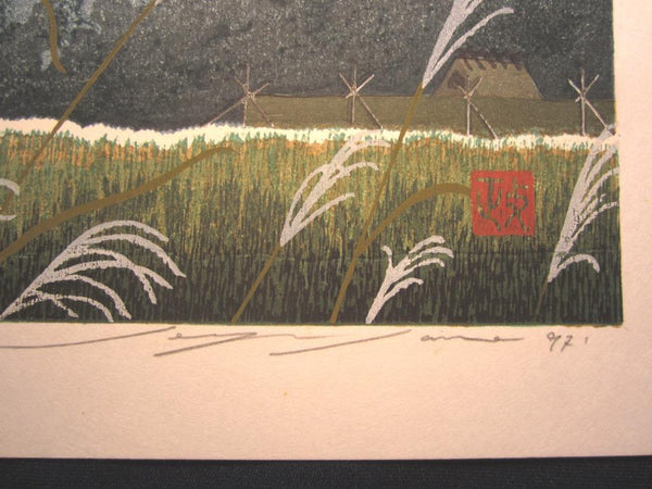 A Great Orig Japanese Woodblock Print Seiji Sano Summer Dragonfly Sky Four Seasons (3)