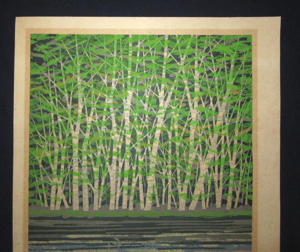 A Great Huge Orig Japanese Woodblock Print Pencil-Signed Limit# Fujita Fumio Green Reflection, 1979 (3)