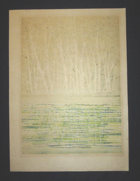 A Great Huge Orig Japanese Woodblock Print Pencil-Signed Limit# Fujita Fumio Green Reflection, 1979 (3)