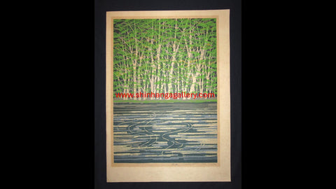 A Great Huge Orig Japanese Woodblock Print Pencil-Signed Limit# Fujita Fumio Green Reflection, 1979 (3)