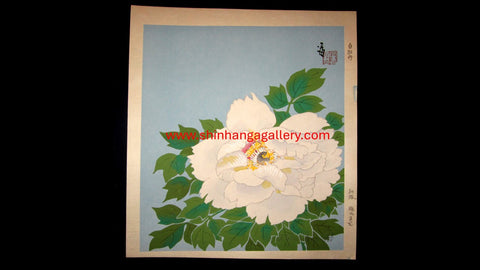 A Great Orig Japanese Woodblock Print Tokuriki Tomikichiro PENCIL Sign & LIMIT NUMBER Original Edition White Peony 1960s