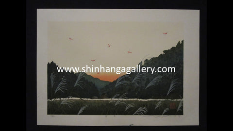 A Great Orig Japanese Woodblock Print Seiji Sano Summer Dragonfly Sky Four Seasons (2)