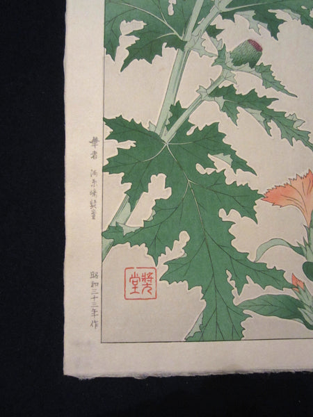 Original Japanese Woodblock Print Kawarazaki 1958 Unsodo WATERMARK Heath Rose Bokeh