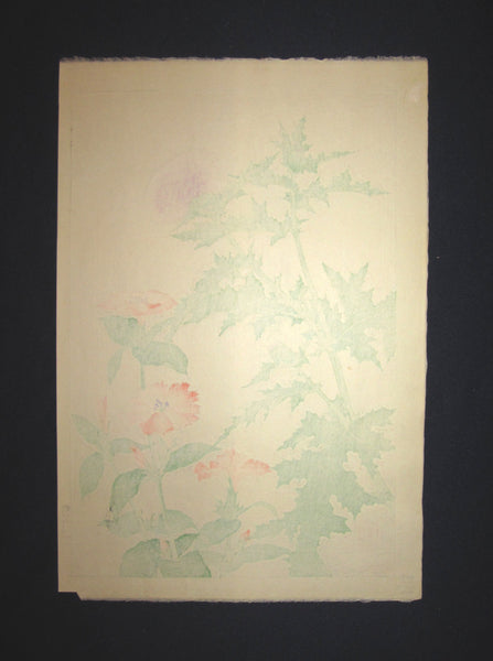 Original Japanese Woodblock Print Kawarazaki 1958 Unsodo WATERMARK Heath Rose Bokeh