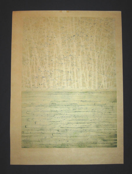 Huge Orig Japanese Woodblock Print Fujita Fumio Pencil-Sign Limit# Green Image