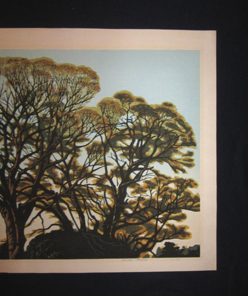HUGE Orig Japanese Woodblock Print LIMIT # Pencil Sign Koichi Maeda Early Spring  1981