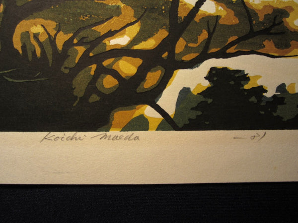 HUGE Orig Japanese Woodblock Print LIMIT # Pencil Sign Koichi Maeda Early Spring  1981