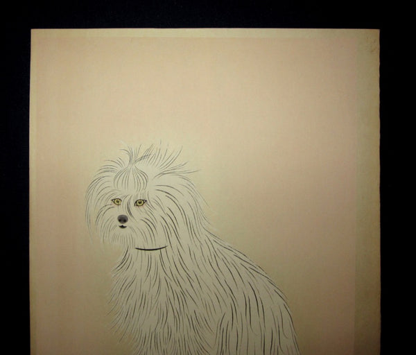 Orig Japanese Woodblock Print Maltese Dog Kobayashi Kokei Kyoto Hanga Print Maker 1950s