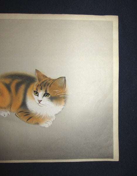 Great Orig Japanese woodblock Print Hasegawa Seicho Kitten 1950s