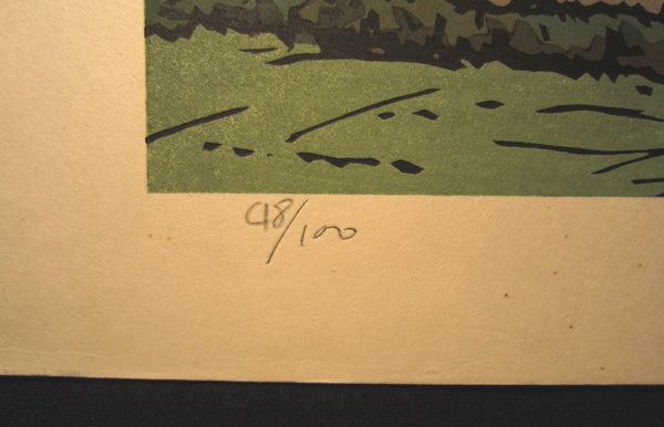 A Huge Original Japanese Woodblock Print LIMIT# PENCIL SGN Kazuyuki Nishijima Mountain of Cloud