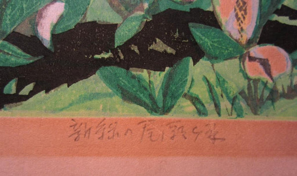 Large Original Japanese Woodblock Print Pencil-Sign Limit# Kitaoka Fumio New Green 1976