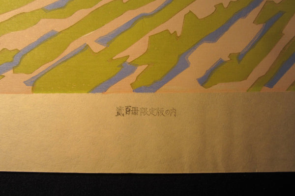 Huge Orig Japanese Woodblock Print LIMIT# Miyata Saburo Shinshu Nagano Prefecture Twenty Sceneries (15)
