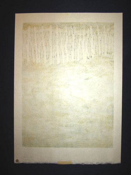 Original Japanese Woodblock Print Pencil-Signed Limited-Number Fujita Fumio New Green A