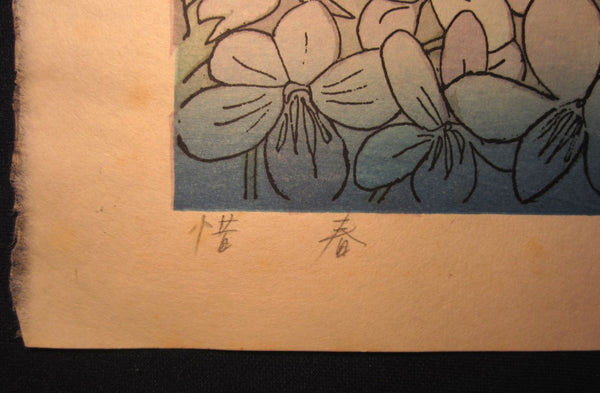 A Huge Original Japanese Woodblock Print PENCIL SIGN Chizuko Yoshida Don’t Waste Spring
