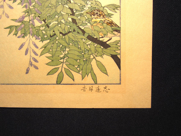 Original Japanese Woodblock Print Toshi Yoshida Franklin Gallery Tokyo AUTHENTICATION CERTIFICATE Bird