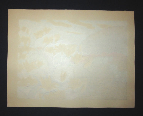 A HUGE Orig Japanese Woodblock Print LIMIT# PENCIL SIGN Hayashi Waichi Lily Magnolia 1981