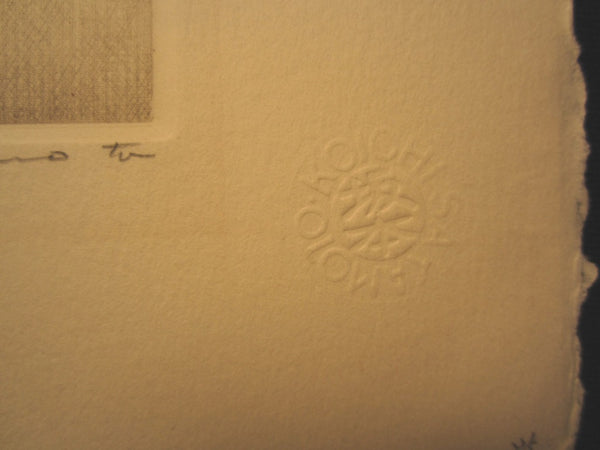A Great Large Orig Japanese Mezzotint Print PENCIL SIGN LIMIT# Koichi Sakamoto Golden Sun
