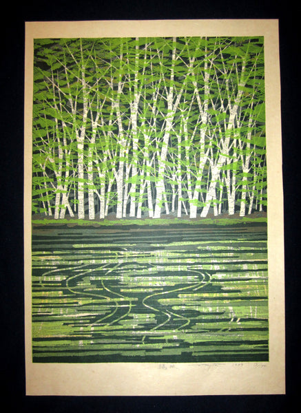 A Great Huge Orig Japanese Woodblock Print Pencil-Signed Limit# Fujita Fumio Green Reflection, 1979