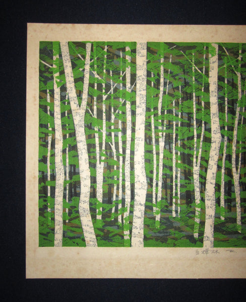 A Great Orig Japanese Woodblock Print Pencil-Signed Limit# Fujita Fumio White Birch Forest F 1982