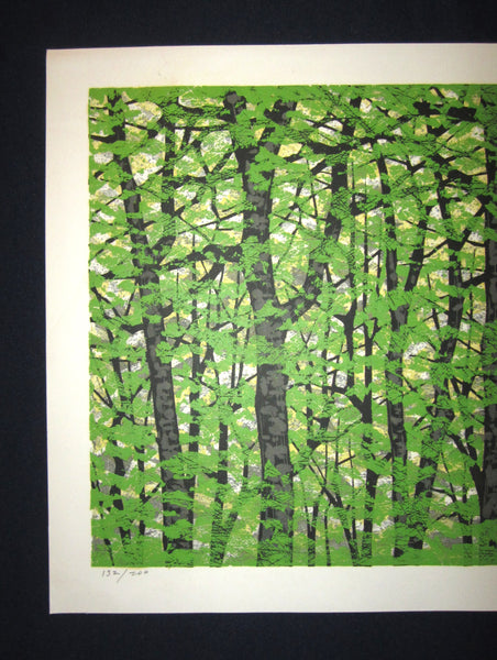 A Great Huge Orig Japanese Woodblock Print Pencil-Signed Limit# Fujita Fumio Forest A 1990