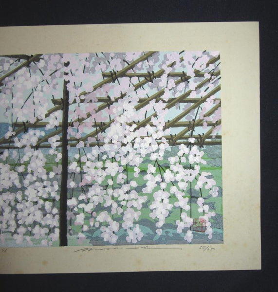 A Great HUGE Orig Japanese Woodblock Print Pencil Sign Limited# Masao Ido Cherry Blossom Spring