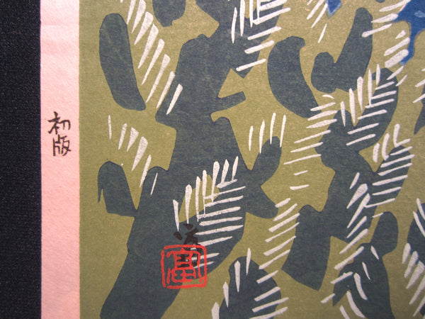 Orig Japanese Woodblock Print Limit Number ORIGINAL EDITION Tokuriki Tomikichiro Uchida Printmaker West Izu Coast New Fuji Thirsty-six Views 1973