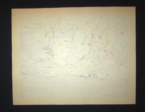 A LIMIT NUMBER Orig Japanese Woodblock Print PENCIL SIGN Kitaoka Fumio Yuka Creek Autumn