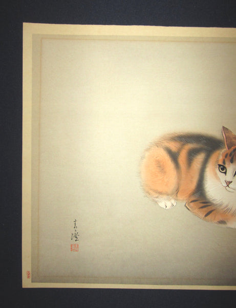 A Great Orig Japanese woodblock Print Hasegawa Seicho Kitten Cat Adachi Printmaker 1950s (2)